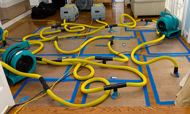 Professional Burst Pipe Water Damage technician working in Idyllwild, CA